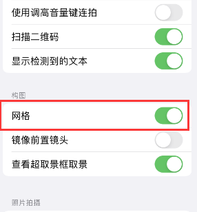 防城苹果手机维修网点分享iPhone如何开启九宫格构图功能 