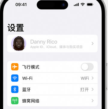 防城appleID维修服务iPhone设置中Apple ID显示为灰色无法使用 