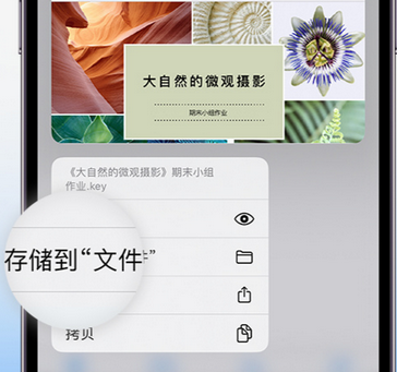 防城apple维修中心分享iPhone文件应用中存储和找到下载文件