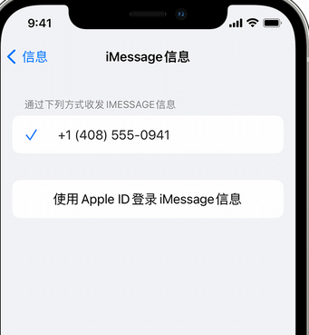 防城apple维修iPhone上无法正常发送iMessage信息 