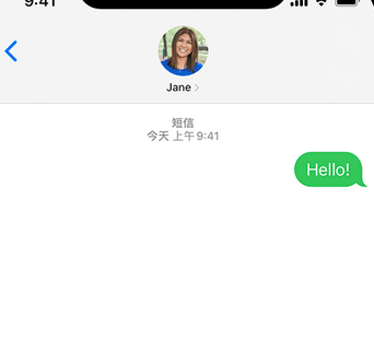 防城apple维修iPhone上无法正常发送iMessage信息