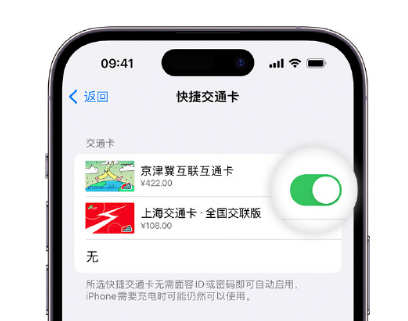 防城apple维修点分享iPhone上更换Apple Pay快捷交通卡手绘卡面 