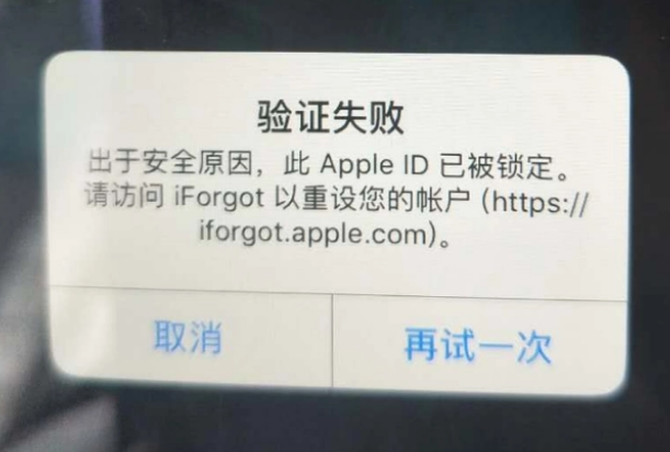 防城iPhone维修分享iPhone上正常登录或使用AppleID怎么办 