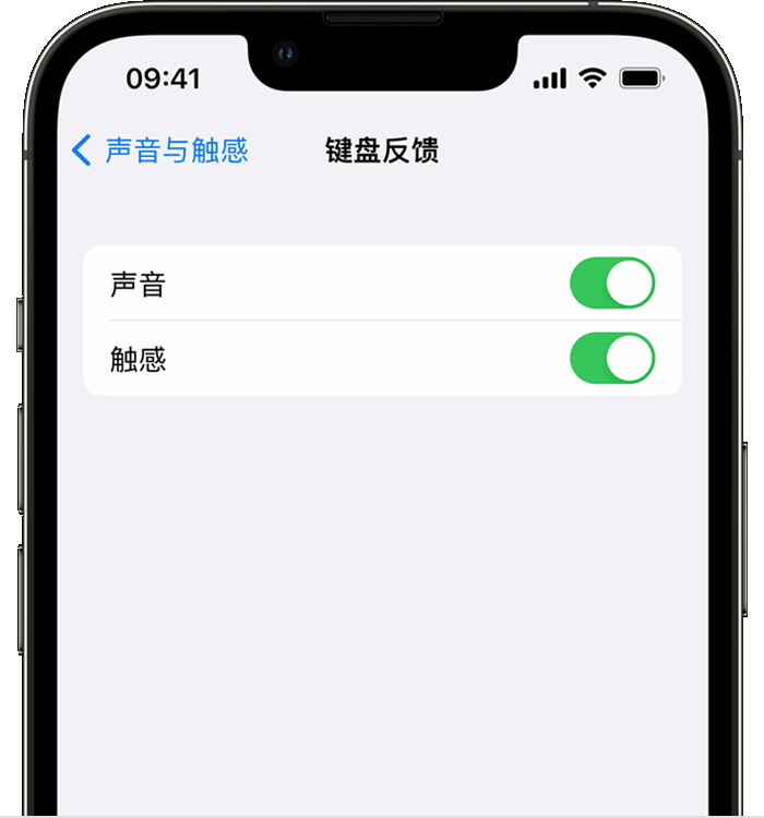 防城苹果14维修店分享如何在 iPhone 14 机型中使用触感键盘 