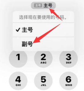 防城苹果14维修店分享iPhone 14 Pro Max使用副卡打电话的方法 