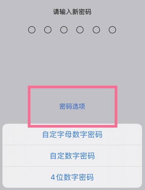 防城苹果14维修分享iPhone 14plus设置密码的方法 