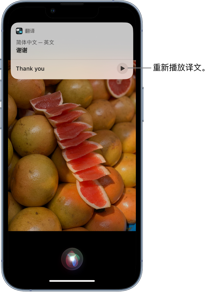 防城苹果14维修分享 iPhone 14 机型中使用 Siri：了解 Siri 能帮你做什么 