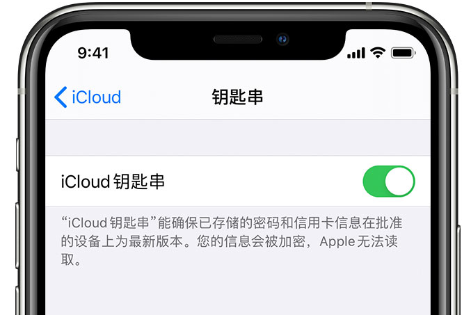 防城苹果手机维修分享在 iPhone 上开启 iCloud 钥匙串之后会储存哪些信息 