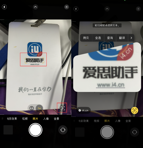 防城苹果手机维修分享升级iOS 16后如何通过相机翻译文本 