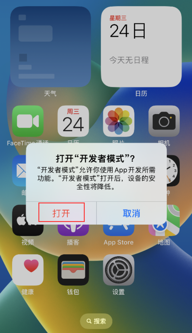 防城苹果手机维修分享如何打开开发者模式 