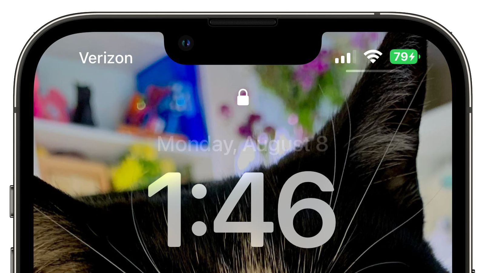 防城苹果手机维修分享iOS 16 beta 5 支持状态栏显示电池百分比，如何开启？支持哪些机型 
