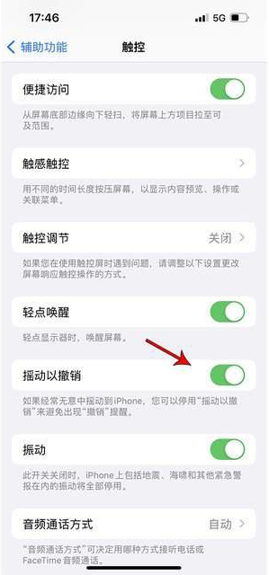 防城苹果手机维修分享iPhone手机如何设置摇一摇删除文字 