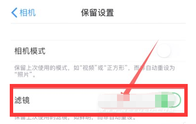 防城苹果13维修分享iPhone13拍照有绿点是怎么回事 
