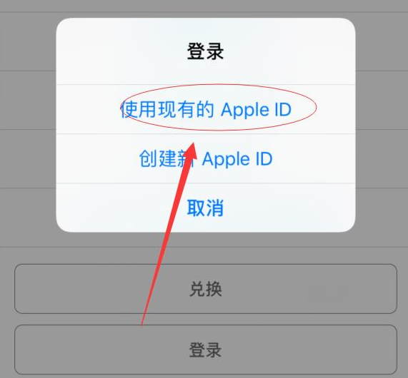防城苹果手机维修分享两台iPhone设备可以同时登录一个Apple ID吗 