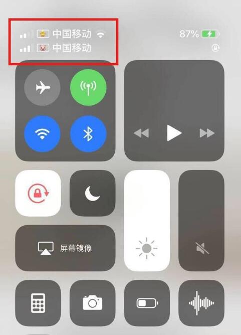 防城苹果手机维修分享为 iPhone 12 双卡设置标签 