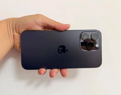 防城苹果维修点分享iPhone 14 Pro Max发烫多重诱因剖析 